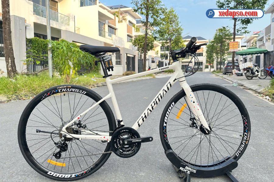 Xe đạp đường phố Chapman T8000 - Khung nhôm 42 Xe đạp đường Phố Chapman T8000 Màu Trắng