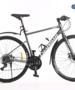 Xe đạp đường phố Chapman T8000 - Khung nhôm 27 Xe đạp đường Phố Chapman T8000 Màu Xám ảnh đẹp