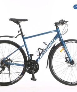 Trang chủ xedapso 58 Xe đạp đường Phố Chapman T8000 Màu Xanh ảnh đẹp