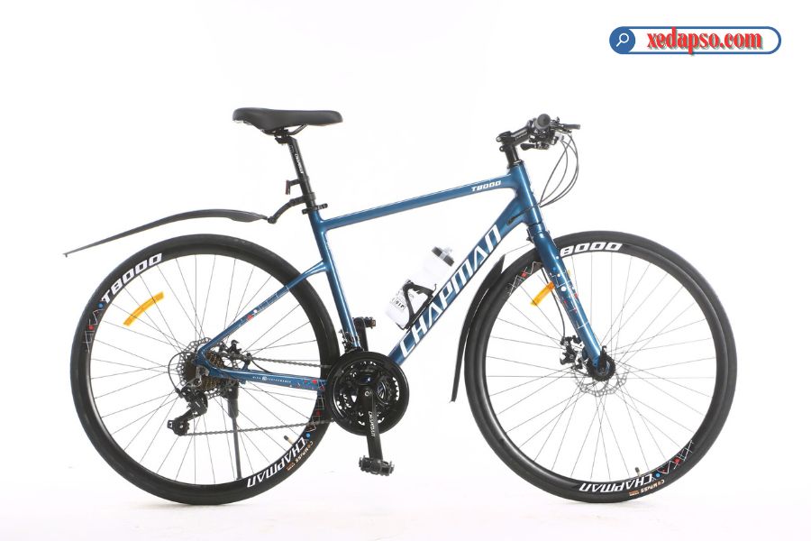 Xe đạp đường phố Chapman T8000 - Khung nhôm 36 Xe đạp đường Phố Chapman T8000 Màu Xanh ảnh đẹp