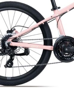 Bộ Truyền động Và Bánh Sau Xe đạp địa Hình Liv Meme 24 Bản 2025