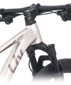 Tay Lái Và Tay đề Xe đạp Nữ Liv Tempt 1 Bản 2026