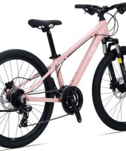 Xe đạp địa Hình Liv Meme 24 Bản 2025 ảnh Chụp Sau