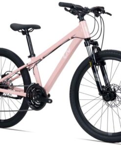 Xe đạp địa Hình Liv Meme 24 Bản 2025 ảnh Chụp Trước