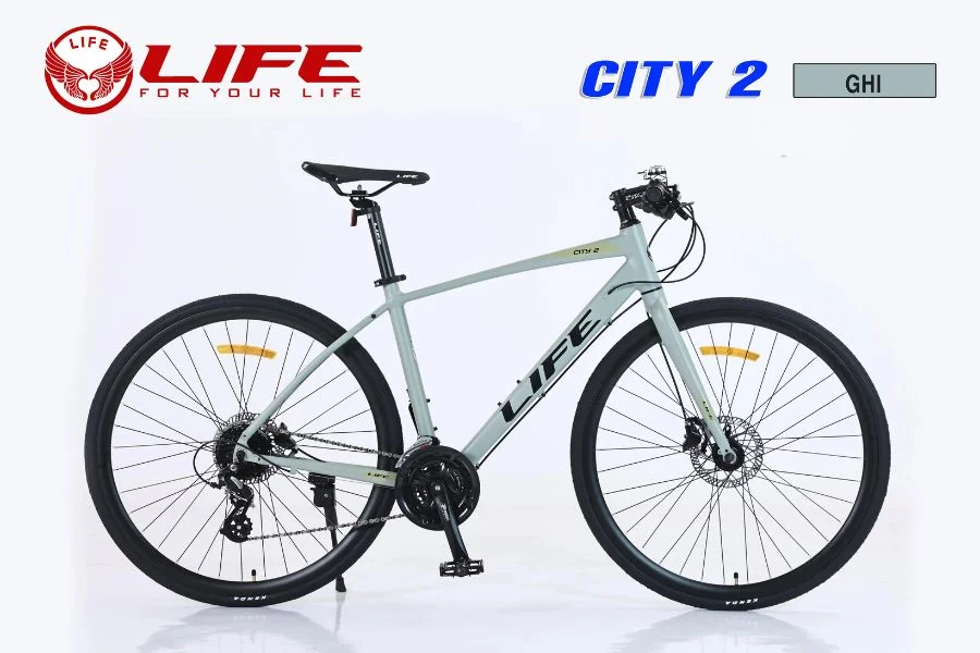 Xe đạp Life City2 Màu Ghi