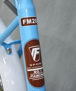 Khung Xe đạp Mini Nữ Fascino Fm20