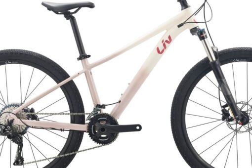 Khung Sườn Xe đạp địa Hình Liv Tempt 1 Bản 2023