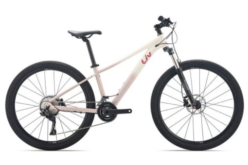 Xe đạp địa Hình Liv Tempt 1 Bản 2023 Màu Hồng