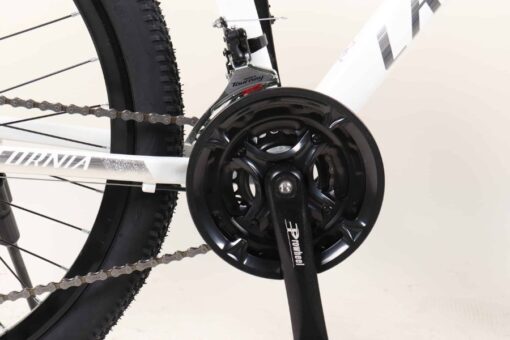 Đùi đĩa Xe đạp địa Hình California 500cc Bản 2022